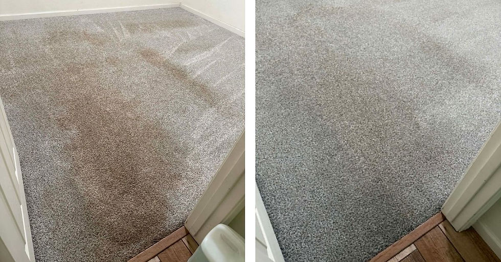 How Long Does Carpet Take to Dry After Professional Cleaning?