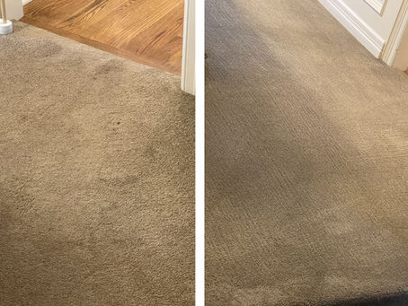 What Causes Traffic Lanes in Carpet and How to Remove Them
