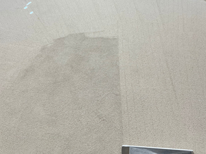 Pettis Avenue Carpet Cleaning Job in Mountain View CA From Spot Cleaning Fail to Fresh Start