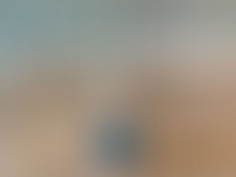 Carpet Cleaning and Pet Stain Removal for New Customer in Everett, WA