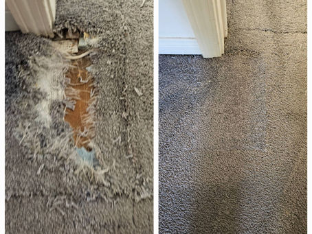 Carpet Pet Damage Repair Service in Anaheim, CA