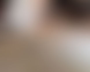 Living Room Carpet Cleaning Service for Homeowner in Des Plaines, IL