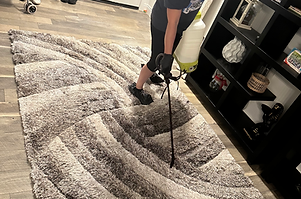 pet-stain-and-odor-removal-service-sun-city-az