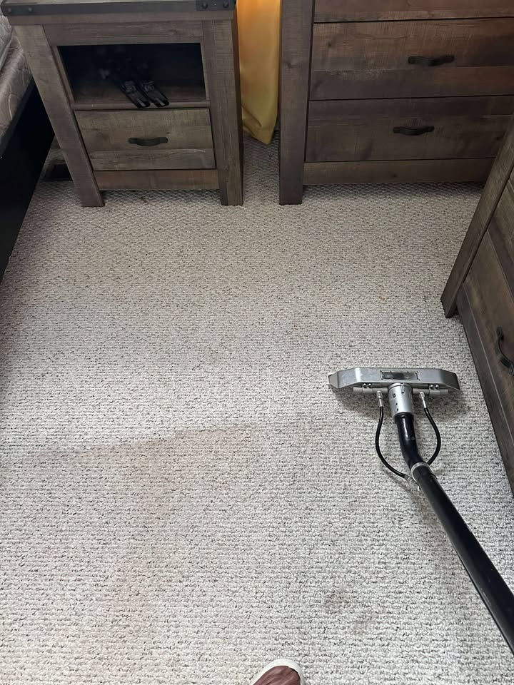 Traffic Lane Carpet Cleaning for Homeowner in Graham, North Carolina