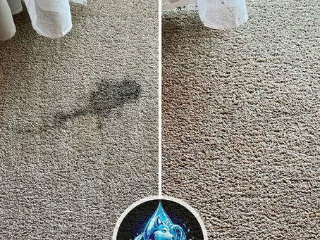 Carpet Stain Removal Service in Everett, Washington