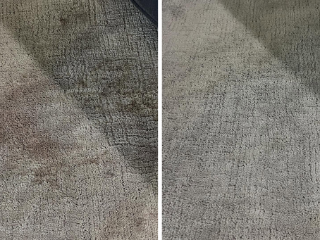 Carpet Stain Removal at the Sonrise Apartments in Marysville, WA