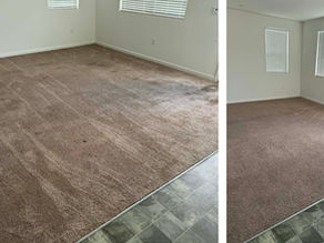 Will Professional Carpet Cleaning Really Make a Difference?