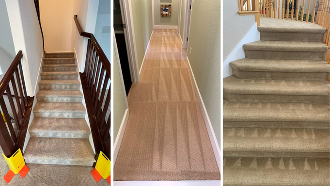 professional carpet cleaning company providing residential carpet cleaning