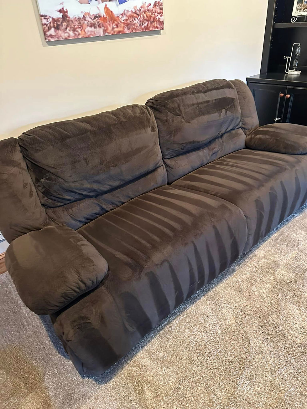 Microfiber Sofa Steam Cleaned in Old Irving Park Neighborhood of Greensboro, NC