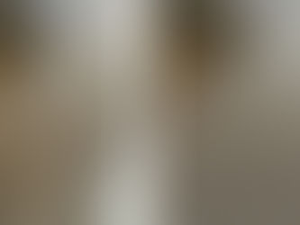 How Professionals Remove Pet Urine Stains from Carpet