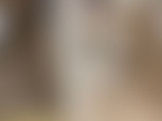 Advanced Carpet Pet Stain and Odor Removal Service