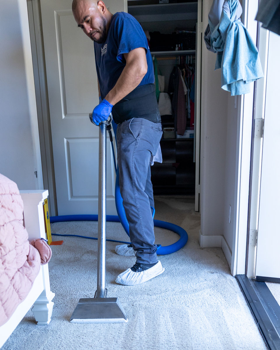 Bello Express Carpet Care