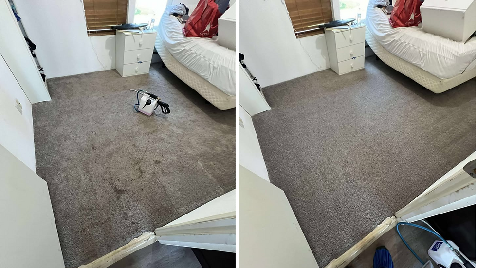 Carpet Steam Cleaning Results for Instant Allergy Relief for a Homeowner in Lake Stevens