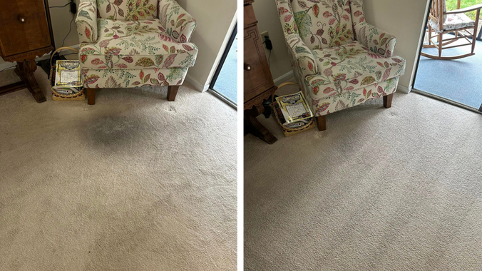 Expert Carpet Stain Removal Services Near You