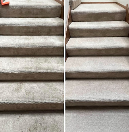 Husky Pro Clean Marysville Washington green carpet cleaning company.jpg