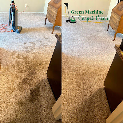 New Customer in Fresno, CA Needed Carpet Cleaning with Pet Stain Treatments