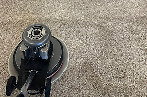 professional-carpet-cleaning-old-fig-garden-ca