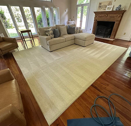 Carpet and Rug Cleaning Services by J Rex Cleaning Solutions.jpg