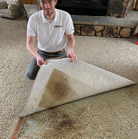 carpet-pet-stain-urine-odor-removal-crystal-lake-il