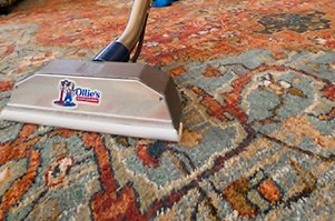 remove-pet-urine-odor-from-rugs