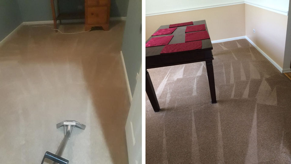 ELW Environmental Carpet Cleaning Inc. removing stains from carpet in Des Plaines.