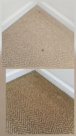 Before and after Berber carpet cleaning service