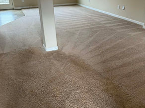 Carpet Cleaning to Remove Red Clay in Burlington, NC, 27215