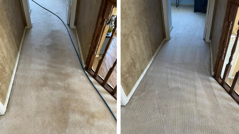 Before and after pet stain removal on carpet in Tulsa hallway.