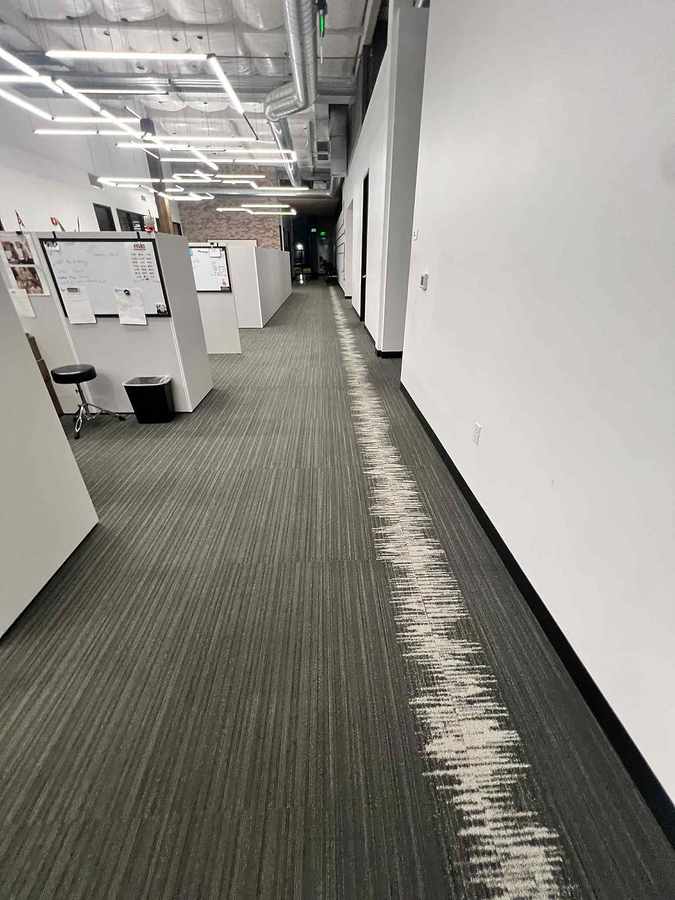 Low Moisture Office Cubicle Carpet Cleaning Service in San Jose
