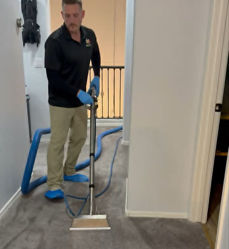 local-carpet-cleaner