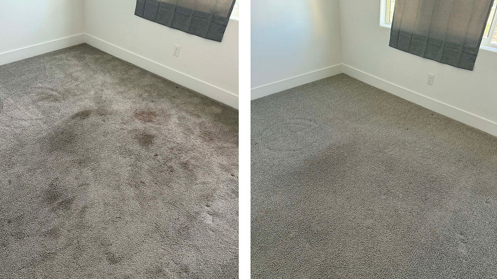 Heavily Stained Carpets in West Fresno Steam Cleaned