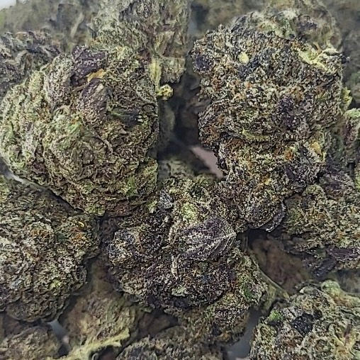 ****$109 OZ Mike Tyson