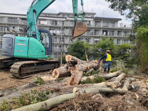 さいたま市三橋[玉切り・抜根作業]