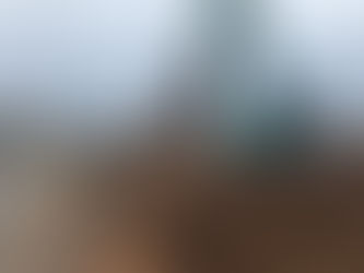 千葉県松戸市中和倉(抜根作業)