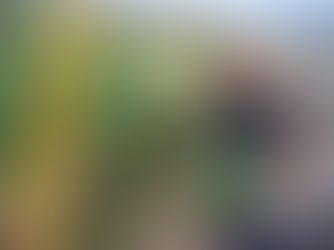 川越市砂にて草刈り作業