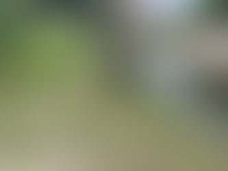 入間市霞川(除草作業)