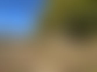 八王子市鑓水・11日目の死闘。30mの巨大コナラ倒木を攻略せよ！ぬかるむ斜面で魅せる、職人の「人力」集積と意地。