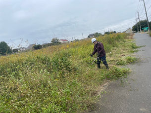 伊奈町小室(除草作業)