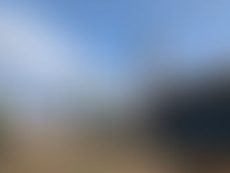 さいたま市三橋(伐採・伐倒・高所作業)