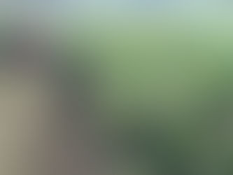 川越市(水路機械除草作業)