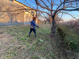 坂戸市赤尾桜堤公園(除草作業)
