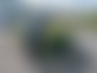 埼玉県越生町大谷(除草作業・剪定作業)