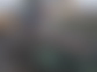 松戸市(ユンボ集積作業・玉切り作業)