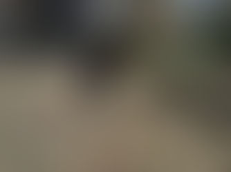 芦山公園区域内(清掃作業)