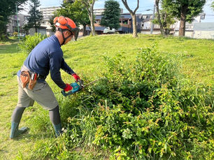 坂戸市内の公園にて