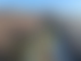 埼玉県伊奈町(ツル取り作業)