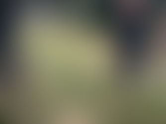 埼玉県坂戸市内仲町公園(除草作業)