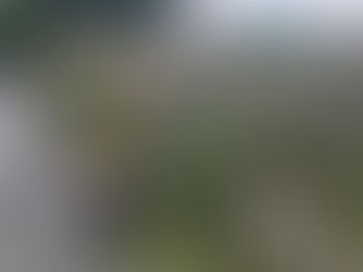 さいたま市三橋にて玉切り、草刈り業務