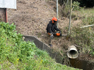 【八王子市鑓水・7日目】コナラと120本の竹が織り成す「緑の迷宮」。チェーンソーを拒む竹林との泥臭い格闘戦