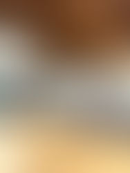 北卡佛光山「靜心修持列車」再次啟程　日常中覺照自心